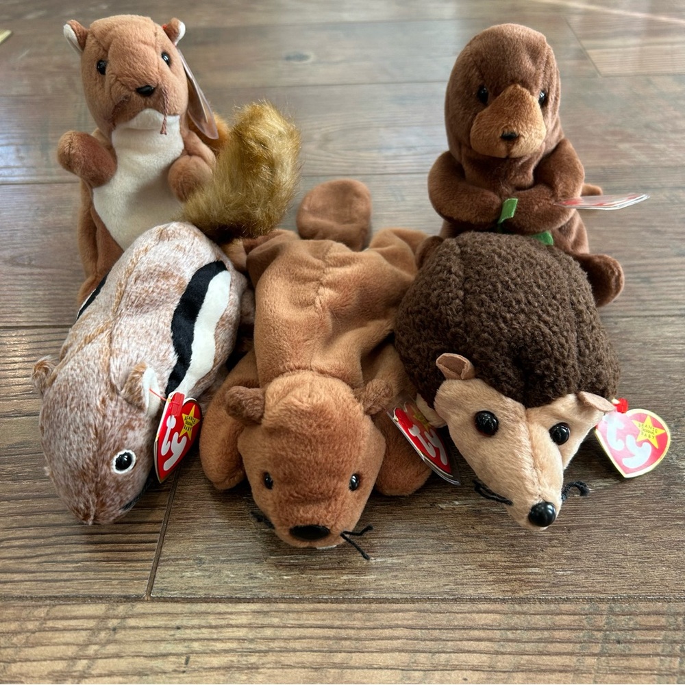 Lot of 5 Ty Beanie Babies Seaweed, Bucky, Nuts, Chipper, & Prickles